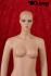 Female window mannequin, skin