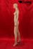 Female window mannequin, skin