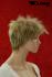 Fransige blonde Kurzhaarpercke mit dunklen Highlights