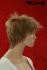 Fransige dunkelblonde Kurzhaarpercke mit Highlights