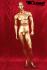 gold painted male window mannequin