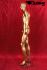 gold painted male window mannequin