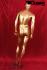 gold painted male window mannequin