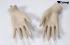 Hands of a female window mannequin