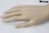 Hands of a female window mannequin