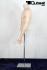 Hautfarbener Mnnlicher Torso headless