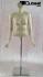 Hautfarbener Weiblicher Torso headless