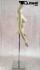 Hautfarbener Weiblicher Torso headless
