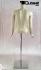 Hautfarbener Weiblicher Torso headless