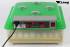 Inkubator BK-48Pro VOLLAUTOMATISCH transparent, 48 Hhnereier, Brutautomat Brutkasten, Brutmaschine dt. Anleitung