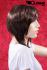 Kurzhaarpercke mit Highlights
