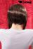 Kurzhaarpercke mit Highlights