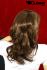 Langhaarpercke hellbraun mit Locken