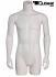 Mnnertorso mit Beinansatz