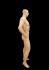 Mnnliche Schaufensterfigur muskuls, Bodybuilder