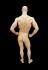 Mnnliche Schaufensterfigur muskuls, Bodybuilder