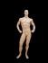 Mnnliche Schaufensterfigur muskuls, Bodybuilder