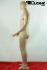 Mnnliche Schaufensterpuppe B-Ware faceless haut