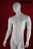 Mnnliche Schaufensterpuppe, faceless, wei