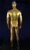 Mnnliche Schaufensterpuppe gold