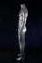 mnnliche Schaufensterpuppe, headless, silber