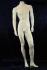 Mnnliche Schaufensterpuppe, headless, wei