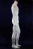 Mnnliche Schaufensterpuppe, headless, wei