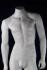 Mnnliche Schaufensterpuppe, headless, wei