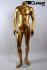 Mnnliche Schaufensterpuppe Schaufensterfigur gold kopflos Mannequin