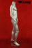 Mnnliche Schaufensterpuppe silber headless