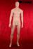 Mnnliche Schaufensterpuppe, skin