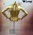 Mnnlicher Torso, gold