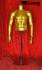 Mnnlicher Torso goldfarben