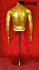 Mnnlicher Torso goldfarben