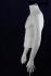 Mnnlicher Torso headless white mat mit Armen