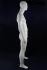 Male Mannequin, abstract B-Ware