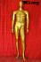 Male mannequin, faceless, gold