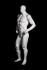 Male mannequin, faceless, white