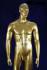Male mannequin, gold