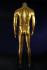 Male mannequin, headless, gold