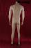 Male mannequin, headless, skin