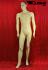 Male mannequin, skin