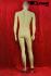 Male mannequin, skin