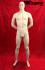 Male Mannequin Skin-Coloured