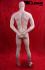 Male Mannequin Skin-Coloured