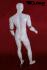 Male Mannequin with moveable Arms, white shining