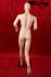 Male skin window dummy faceless