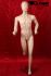 Male skin window dummy faceless