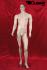 male standing window dummy