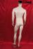 male standing window dummy